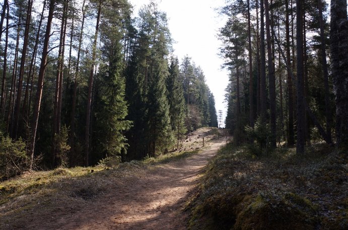 Attālinātā sacīkste - Ikšķile